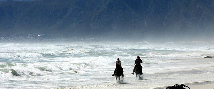 Kennedy's Beach Villa Horse riding