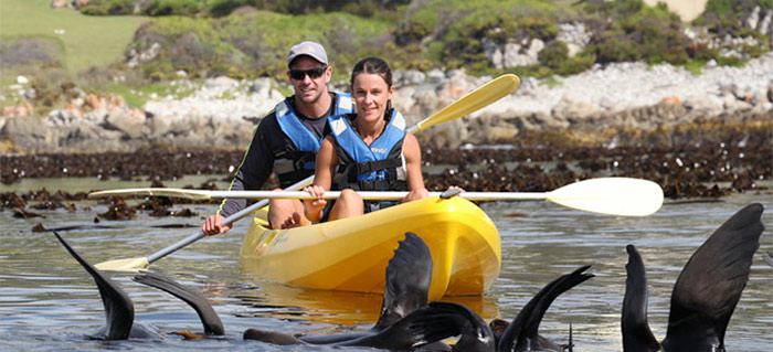 Kennedy's Beach Villa Hermanus activities