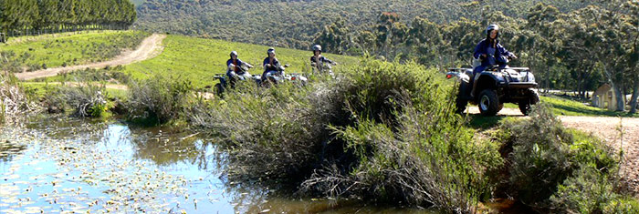 Kennedy's Beach Villa Hermanus activities